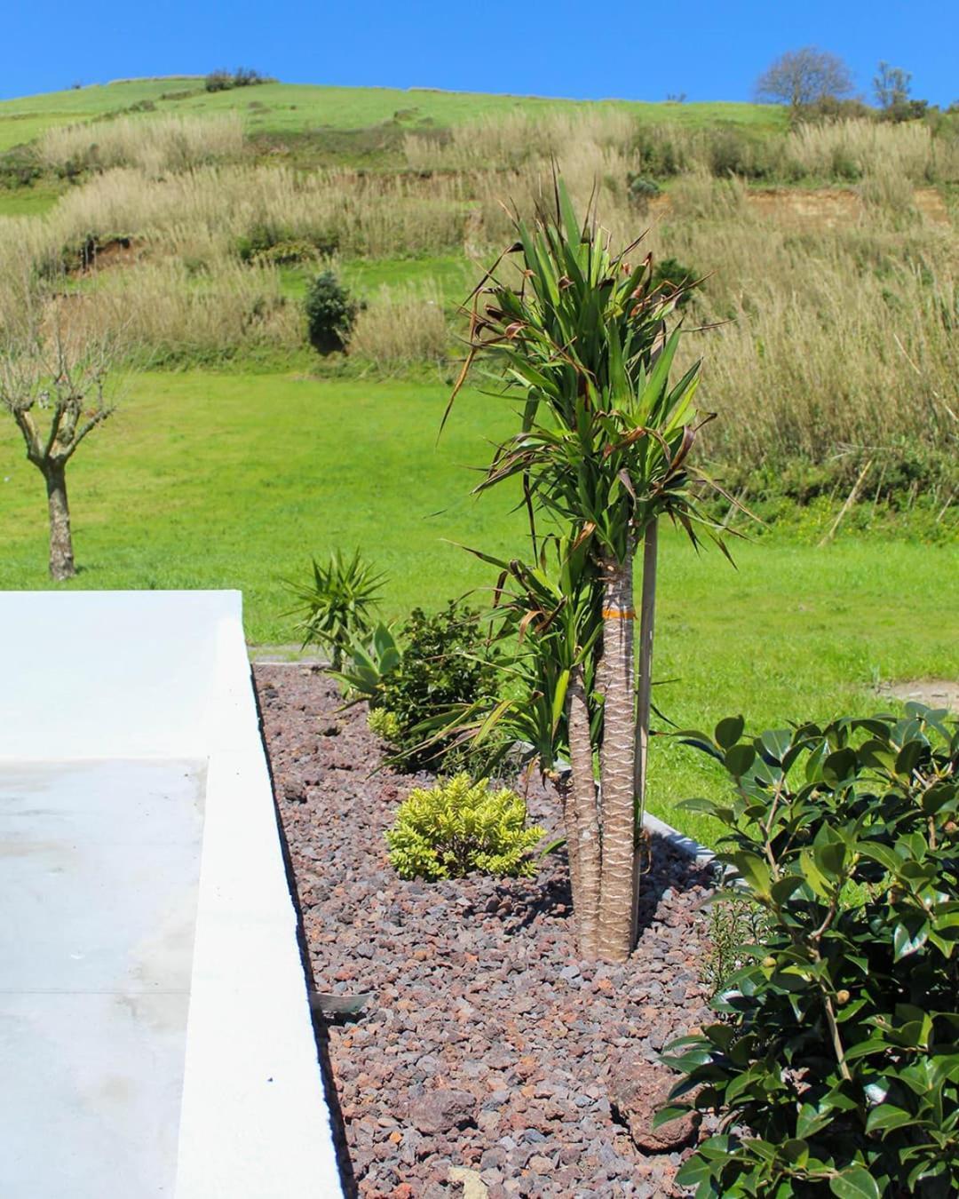 Ponta Delgada Dreamscape Villa מראה חיצוני תמונה